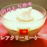 レアチーズケーキもどき～クリームチーズ不使用～